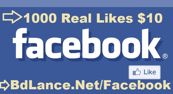 1000 real facebook likes usd 10